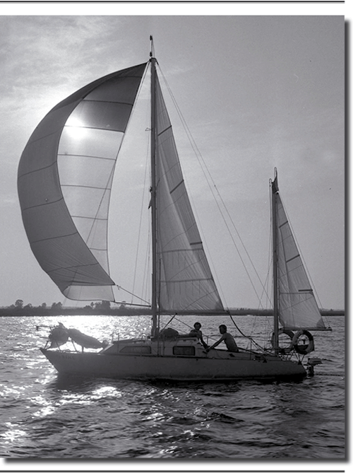 SL25