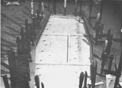 pri22j.jpg (11676 bytes)